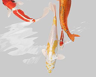 《拳皇15》PS5标准版468港币 中文官网上线